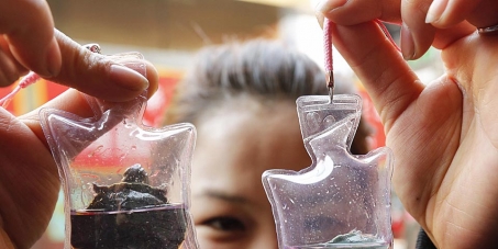 Stoppen der "Glücksbringer"-Tierquälerei in China