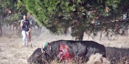 Abolición del Toro de la Vega