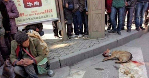 Justice For Pet Dog, Brutally Killed By Police, Langzhong, China!!