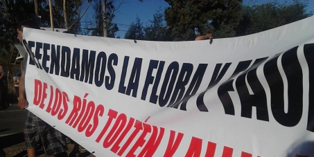 NO a la Hidroeléctrica los Aromos en los Ríos Tólten y Allipén