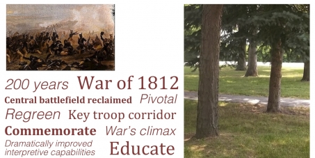 Save the Lundy's Lane Battlefield historic site!