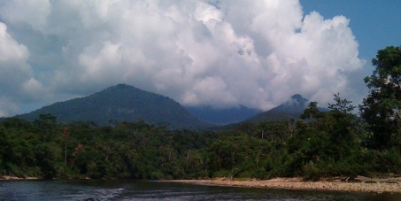 Stop The Mirador Open Pit Copper and Gold Mine in The Head Waters of The River Amazon