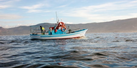 30 dias para salvar nuestros oceanos