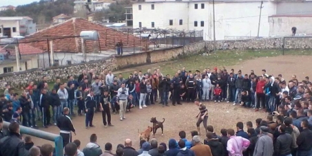 Saimir Tahiri, Minister of Internal Affairs: STOP - Dog Fighting in Albania!