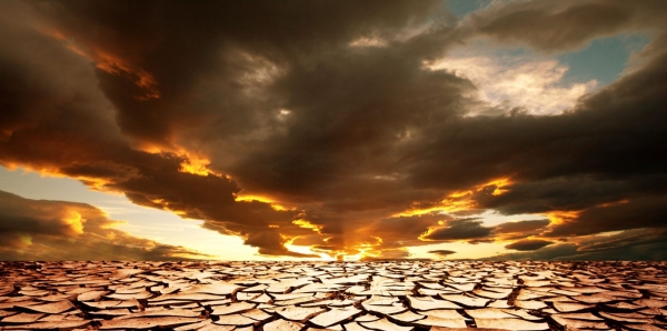 Senado Federal: Arquive definitivamente a PEC nº 65/2012