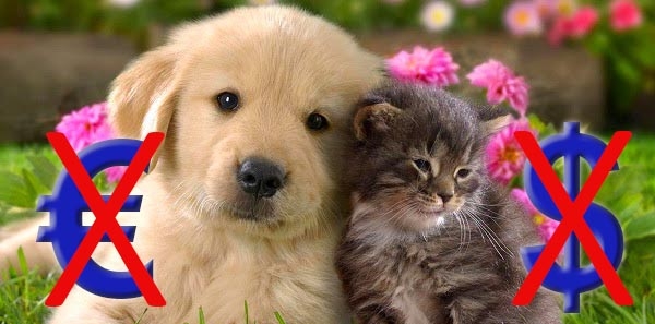 Monsieur le président de Facebook, Mark Zuckerberg: Abandonnez votre projet de faire payer les photos de chats et de chiens