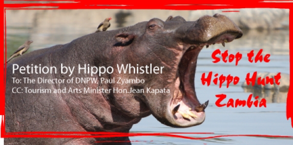 To: The Director of DNPW, Paul Zyambo & Tourism Minister Hon. Jean Kapata: Stop the Hippo Hunting (Cull) in Luangwa Valley, Zambia