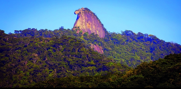 Governador Francisco Dornelles: A Ilha Grande Não Quer PPP