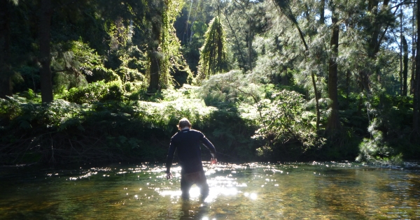 Australian Minister for the Environment, Josh Frydenberg: Stop the Dargues Gold Mine in New South Wales