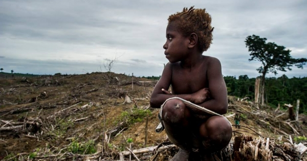 Kassér Forudsætning Hjemland Help to end the genocide in West Papua