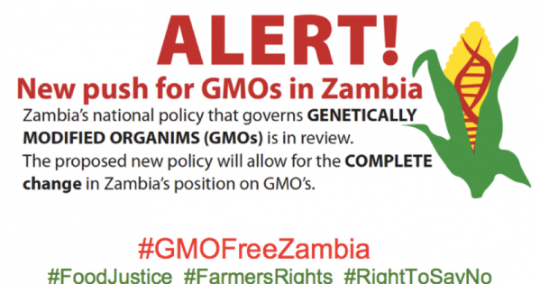 Commit to a GMO FREE ZAMBIA