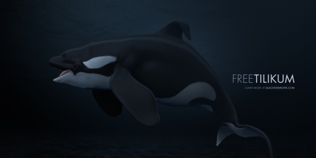 SeaWorld: Blackfish :Free Tilikum 