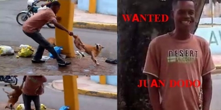 Sr. Roberto Salcedo, Ayuntamiento de Santo Domingo: Find Juan DODO acesino de peros !