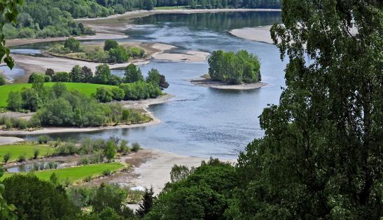 Help us save Lågendeltaet nature reserve!