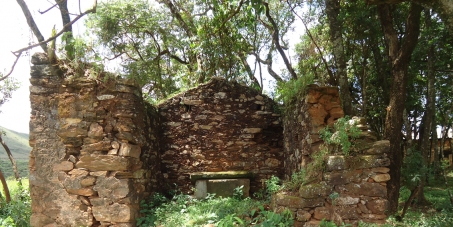 Excelentíssimo Sr. Antônio Anastasia, governador de Minas Gerais.: Não assine ao PL 4.696/2013 aprovado na Assembleia Legislativa de