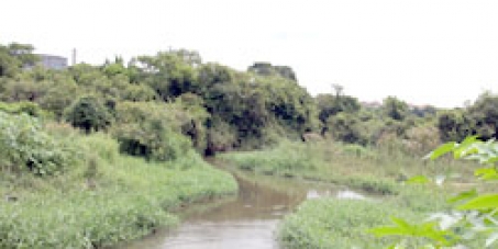 Em Defesa da Bacia do Rio Guaió