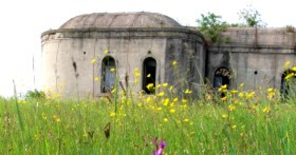 Forte Cosenz al Comune di Venezia