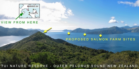 Save our Sounds - no new salmon farms