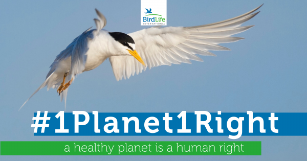 A new human right: The right to a healthy natural environment