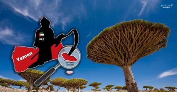 UNESCO and the UNITED NATIONS HELP US SAVE SOCOTRA (YEMEN) FROM UAE INTERVENTION & DAMAGES