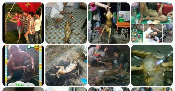 Vietnamese workers coming to Taiwan. Torture dogs and eat them. Vietnam your workers are a disgrace.