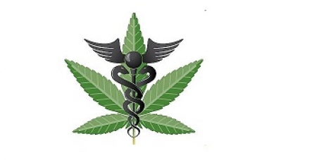 Legalize Cannabis in New Zealand!!