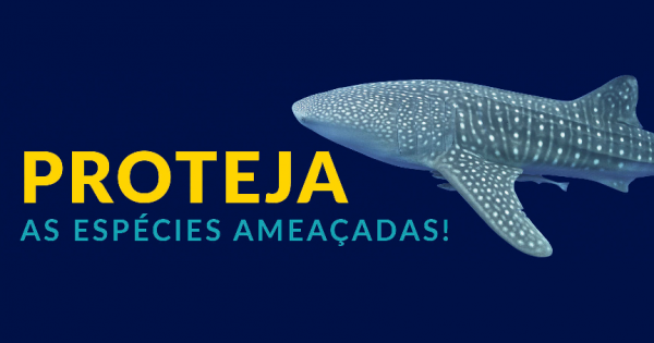 Um minuto da sua vida vale milhões de vidas em nossos oceanos e rios!!!