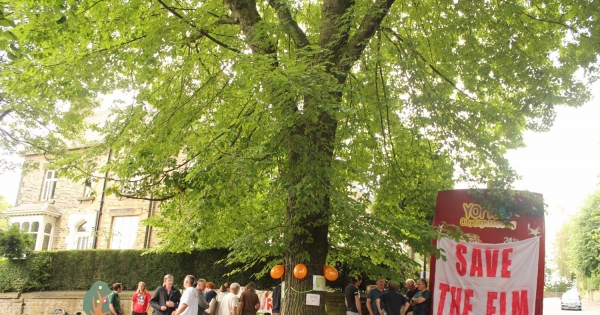 Sheffield City Council, UK: Save the Sheffield Elm