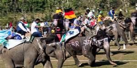 Stop Nepal from building a stadium for "elephant games!"