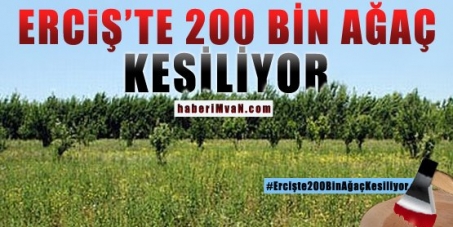 Stop the Massacre of 200.000 Trees