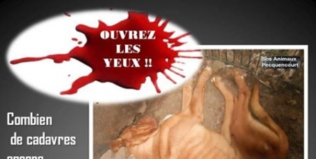 POUR EMPECHER LE BON COIN D ACCEPTER LES ANNONCES POUR LES ANIMAUX  A VENDRE OU A DONNER