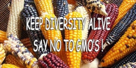 Worldwide Suspension of Genetically Modified Seeds *KEEP DIVERSITY ALIVE*