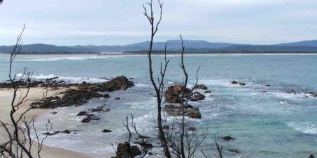 Save Bastion Point, Mallacoota (Victoria, Australia) from inappropriate development.