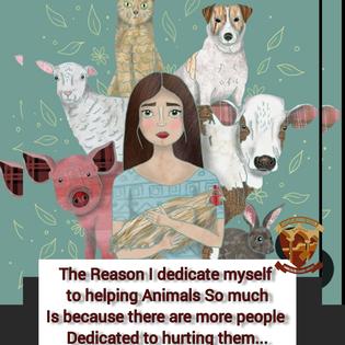 Animal Rights Awareness