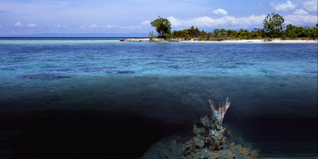 Protect Our Pacific Ocean! Stop Experimental Seabed Mining!