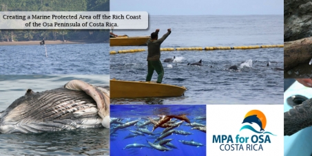 Create a Marine Protected Area off the Osa Peninsula of Costa Rica