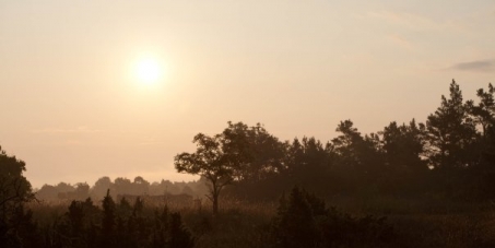 Sauvez la nature protégée dans l'île de Gotland du danger de devenir une région minière!