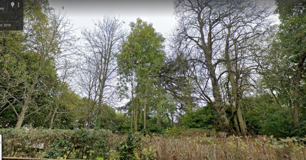 HALTE AUX  MASSACRES    DE 134 ARBRES DE PREMARTINE LE-MANS