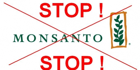 Petition for the dismantling of Monsanto