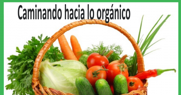 Pour du Bio à la cantine du Lycée franco costaricien /Para un menu orgánico en el restaurante del LFC