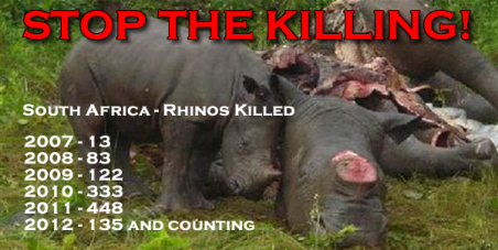 Rhino Poaching : Act NOW to STOP The Killing!