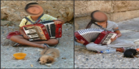 STOP THE ROMA FROM ABUSING PUPPIES