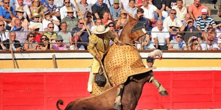 San Sebastián: Keep The Ban On Bullfighting - Do Not Give In To Sadists