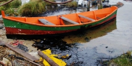 Bioma da Mata Atl&acirc;ntica amea&ccedil;ado no Litoral Norte Paulista - Ajude a salv&aacute;-lo!