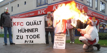 Es kommt KEIN KFC nach Himmelkron!