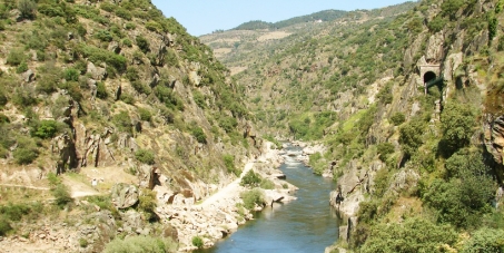 Stop the Tua River Dam (Parar a barragem do Tua)