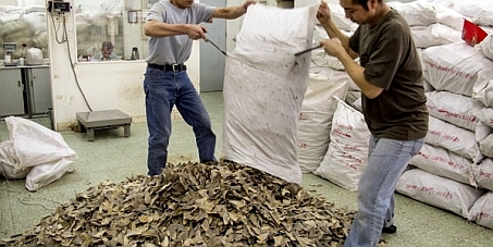 Hong Kong Government: Legislate a ban on the sale and possession of shark fin in Hong Kong.