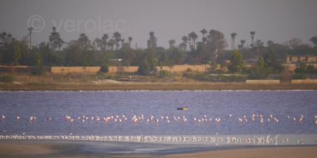 Pour une réserve naturelle communautaire au Lac Rose (Retba) au Sénégal
