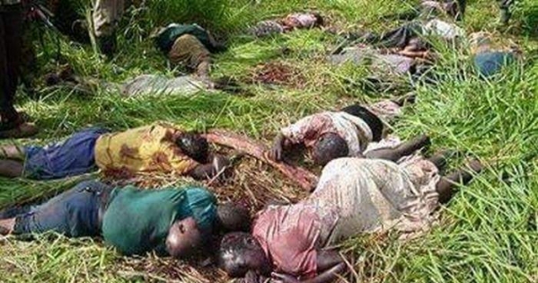 Una inchiesta internazionale sui massacri di Beni-Lubero (RD Congo)