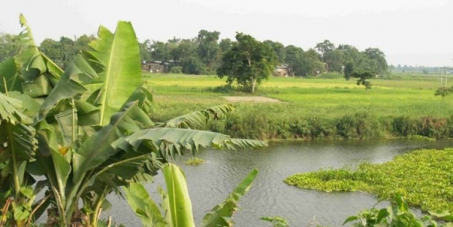 Make Majuli & its vast forest planted by a single man a World Heritage site